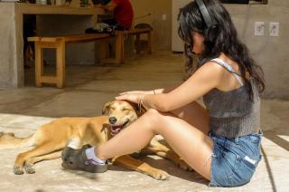 Coliving and Coworking - 9