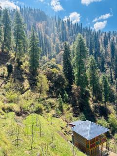 Meet by cooincidence homestay - A place of peace and nature - 2