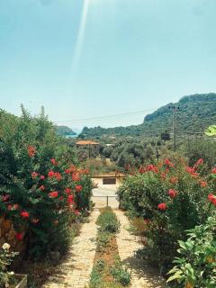 Olive Garden Zeytin Ev - Datça - 6
