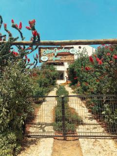 Olive Garden Zeytin Ev - Datça - 4
