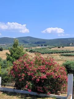 Elia House - Vatopedi - 6