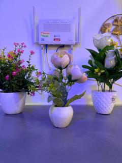 Independent 1 BHK Apartment In New Delhi - Neu-Delhi - 6