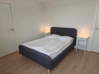 Odense serviced apartment - Odense - 9