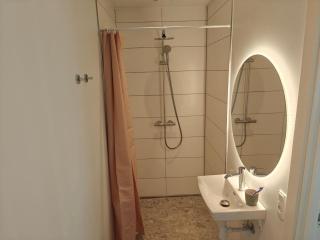 Odense serviced apartment - Odense - 5