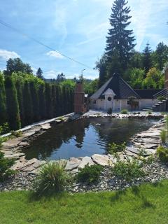 Mountain Spring - 1