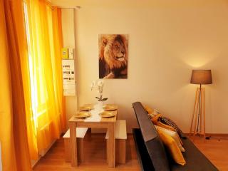 Sadi Carnot - 2A - Millau - 5