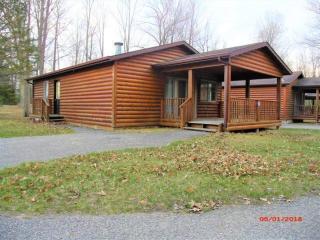 Lost Arrow Resort - Gladwin - 5