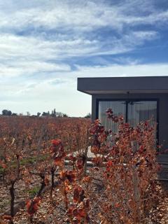 ENTREVID suite amanecer - 2