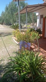 Case vacanza da Luisa - Lupetto - 9