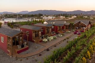 Tres Vides Hotel Boutique - Valle de Guadalupe - 2