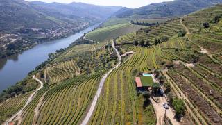 Quinta da Coitada - Alojamento Local - Soutelo do Douro - 4
