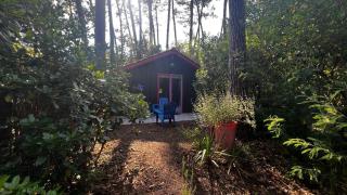 Le Cabanon entouré de Pins - Lacanau - 4