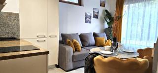 Zakopiański Azyl luksusowe apartamenty Apartzakop - Zakopane - 6