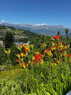 Appartement cosy avec vue exceptionnelle - Saint-Gervais-les-Bains - 9