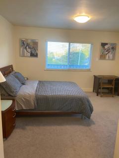 Spacious and bright large bedroom with separate bathroom - Richmond - 4