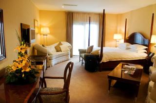 Lord Bagenal Inn - 9