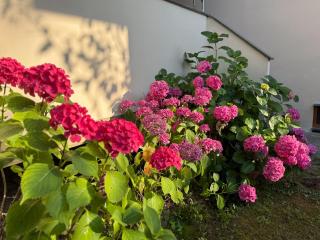 La Terrazza al Forte - 4