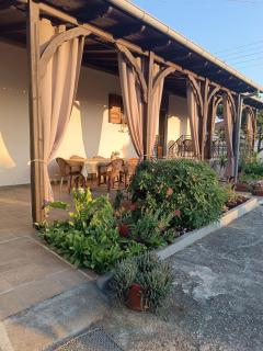 Red Roses-Traditional House - 6