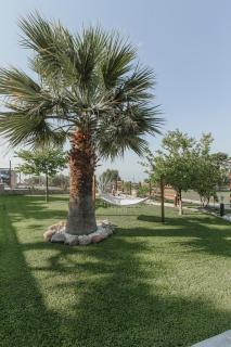 Sea view and relax - Nea Peramos - 8