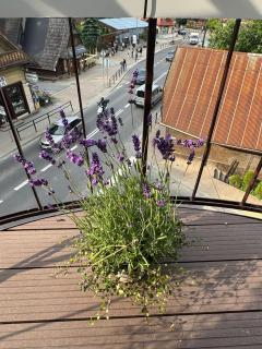 Apartamenty RÓŻENICA - Zakopane - 4