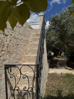 Trullo Donna Gina con Terrazza - Locorotondo - 1