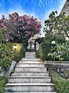 Apartments Vinka&Mila - 5