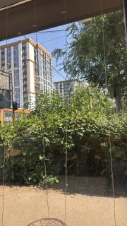 Квартира с красивым видом на горы - 6