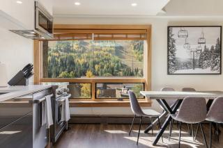 Panoramic Views, Renovated & Luxurious, Penthouse Condo - 7