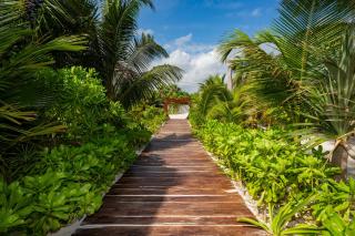 Arenika Beach House - Puerto Morelos - 1