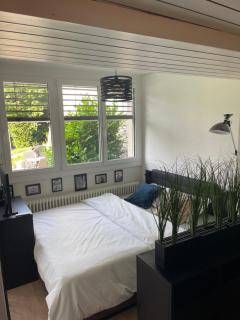 Apartment Garden West - Unterseen - 2