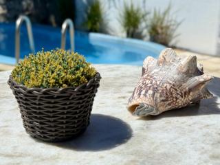 Oceana Suites Villas de Tibau - 9
