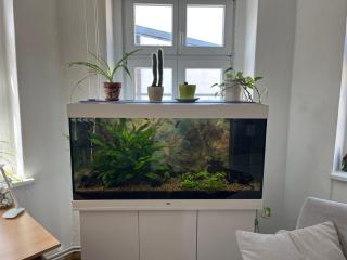 TheGreenCapital - Berlim - 0