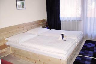 APART Landhaus Gstrein - Oetz - 3