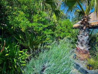 Appartement phare - Soulac-sur-Mer - 7