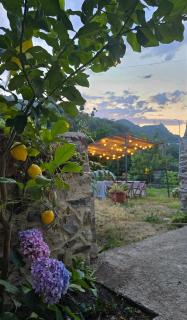 Casa rurale con grande giardino e orto tra i monti - Saponara Villafranca - 4