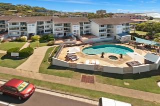 Pandanus Coolum Beach - 0