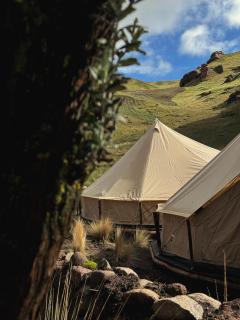 Tinajani by Andean - - 8