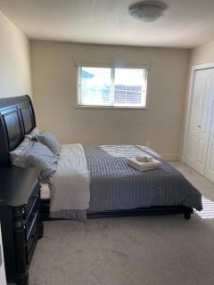 Separate bathroom, spacious and bright bedroom - Richmond - 3