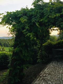 CasaLeMonache self-catering rural retreats - San Gemini - 8