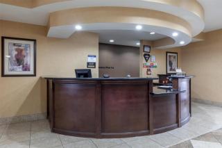 Best Western Bastrop Pines Inn - Bastrop - 3