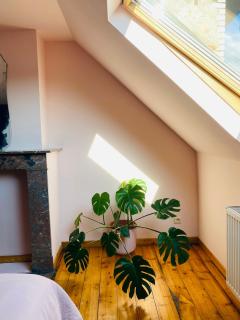 Witte ruime zolderkamer in herenhuis dubbel bed - Antwerp - 5