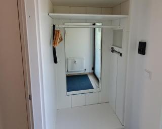 Waldpanorama - Winterberg - 3