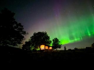 Unique stay with farm animals and stunning views Tiny House in Telemark - Notodden - 7