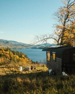 Unique stay with farm animals and stunning views Tiny House in Telemark - Notodden - 1