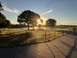 De Rouwenbogt - Reusel - 8