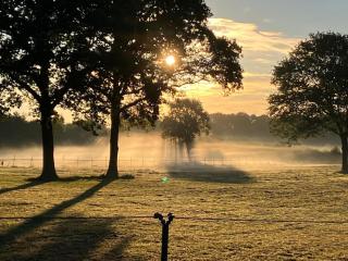 De Rouwenbogt - Reusel - 2