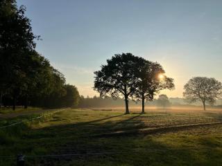 De Rouwenbogt - Reusel - 1