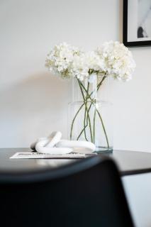 1 BR Studio - ZENTRAL - PARKHAUS - BUSINESS - KAFFEE - NETFLIX - SMART TV - KÜCHE - Wiesbaden - 3