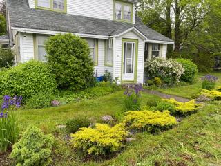 Studio 181 Bed & Breakfast - Port Clyde - 9