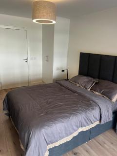Sauna and gym apartment - Dublin - 1